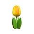 Typisch Hollands Wooden tulip on foot 14 cm - Yellow Orange