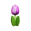 Typisch Hollands Wooden tulip on foot 14 cm - Violet