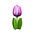 Typisch Hollands Houten tulp op voet 14 cm - Violet