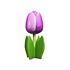 Typisch Hollands Houten tulp op voet 14 cm - Violet