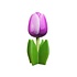 Typisch Hollands Wooden tulip on foot 14 cm - Violet