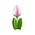 Typisch Hollands Wooden tulip on foot 14 cm - White Pink