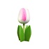 Typisch Hollands Houten tulp op voet 14 cm  Wit Roze