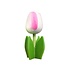 Typisch Hollands Houten tulp op voet 14 cm  Wit Roze