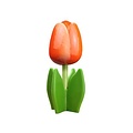 Typisch Hollands Houten tulp op voet 14 cm - Oranje - Wit