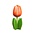 Nijhuis  Houten tulp op voet 14 cm - Oranje - Wit