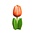 Typisch Hollands Houten tulp op voet 14 cm - Oranje - Wit