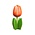 Typisch Hollands Wooden tulip on foot 14 cm - Orange - White