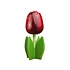 Nijhuis  Houten tulp op voet 14 cm Donker Rood