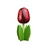 Typisch Hollands Wooden tulip on foot 14 cm Dark Red