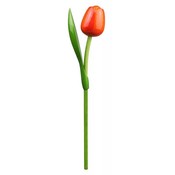 Nijhuis  Holztulpe Blau-Orange