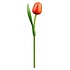 Nijhuis  Holztulpe Blau-Orange