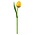 Nijhuis  Tulpe aus Holz - Gelb - Orange