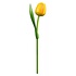 Nijhuis  Houten Tulp Geel - Orange