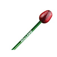 Typisch Hollands Tulpenstift Rot