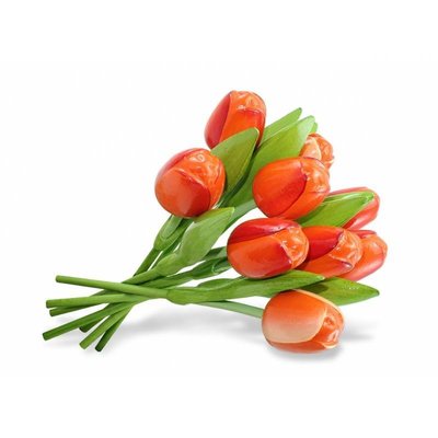 Typisch Hollands Wooden Tulips