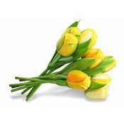 Nijhuis  Wooden Tulips