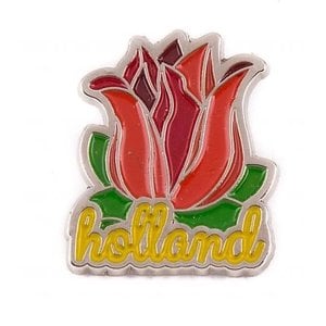 Matix Tulip pin Holland silver