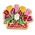 Matix Pin Tulip Wald Holland Gold