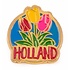 Typisch Hollands Pin mit 3 Tulpen Holland Gold