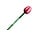 Typisch Hollands Tulip Pencil - Red - White