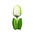 Typisch Hollands Wooden tulip on foot 14 cm - White - Green