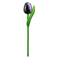 Typisch Hollands Tulp op steel 20 cm aubergine