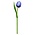 Nijhuis  Blauwe Houten Tulp