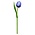 Typisch Hollands Blauwe Houten Tulp