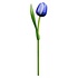 Nijhuis  Blaue Tulpe aus Holz
