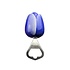 Nijhuis  Tulip - opener - Holland - Blue