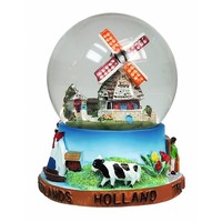 Typisch Hollands Sneeuwbol Hollands glorie middelgroot