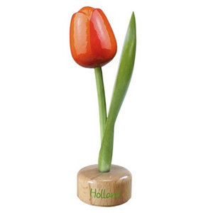 Typisch Hollands Tulpe auf Ständer Orange - Rot
