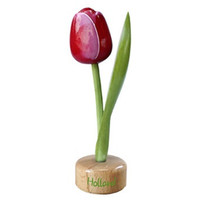 Typisch Hollands Tulp op Voet Rood - Wit