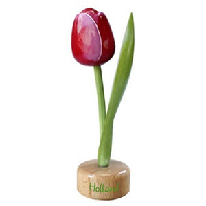 Typisch Hollands Tulp op Voet Rood - Wit