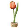 Typisch Hollands Tulpe auf Fuß Orange - Weiß