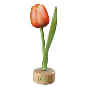 Typisch Hollands Tulip on Foot Orange - White
