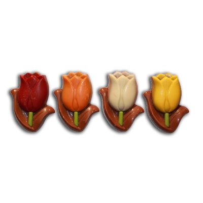 Typisch Hollands Chocolade Tulpen - Mini Box