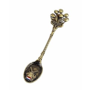 Typisch Hollands Teaspoon in cassette - Tulips - Bronze