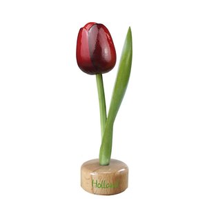 Typisch Hollands Tulp op Rood-Aubergine