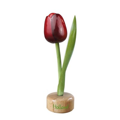 Typisch Hollands Tulpe auf roter Aubergine