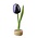 Typisch Hollands Tulpe auf Ständer – Aubergine Weiß
