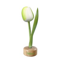 Typisch Hollands Tulp op Voet Wit - Groen