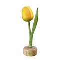 Typisch Hollands Tulip on Foot Yellow - Orange