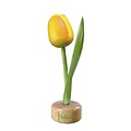 Typisch Hollands Yellow - Orange Tulip on Stand