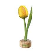 Typisch Hollands Yellow - Orange Tulip on Stand