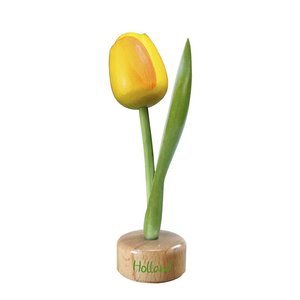 Typisch Hollands Yellow - Orange Tulip on Stand