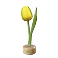 Typisch Hollands Tulip on Foot Yellow - Green
