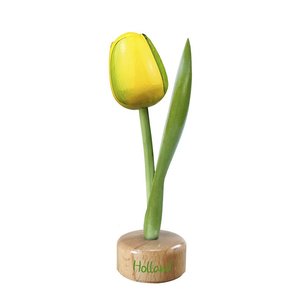 Typisch Hollands Tulp op Voet Geel - Groen