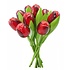 Typisch Hollands Houten Tulpen